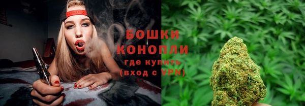 шишки Аркадак