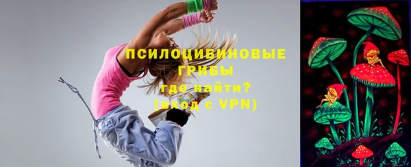 шишки Аркадак