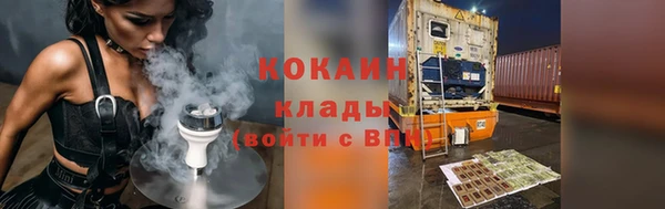 прущие грибы Армянск