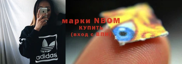 шишки Аркадак