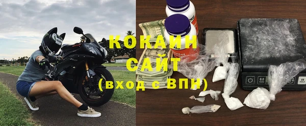 прущие грибы Армянск