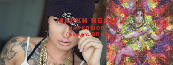 прущие грибы Армянск